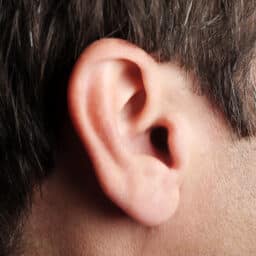 Close up of man's ear